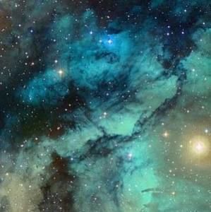 Meet your Posher, Starr